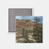 Worn Rock Walls in Zion National Park Magneet (Voorkant / Achterkant)