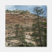 Worn Rock Walls in Zion National Park Magneet (Voorkant)