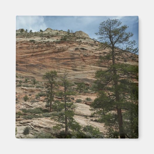 Worn Rock Walls in Zion National Park Magneet (Voorkant)