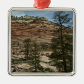 Worn Rock Walls in Zion National Park Metalen Ornament (Voorkant)