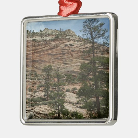 Worn Rock Walls in Zion National Park Metalen Ornament (Links)