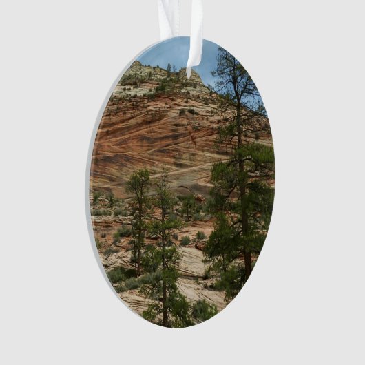 Worn Rock Walls in Zion National Park Ornament (voorkant)