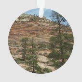 Worn Rock Walls in Zion National Park Ornament (achterkant)