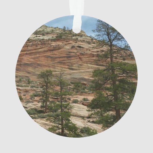 Worn Rock Walls in Zion National Park Ornament (achterkant)