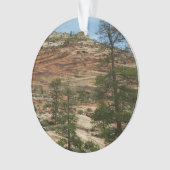 Worn Rock Walls in Zion National Park Ornament (voorkant)