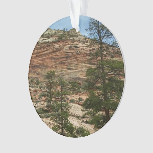 Worn Rock Walls in Zion National Park Ornament (voorkant)