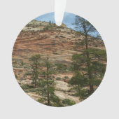 Worn Rock Walls in Zion National Park Ornament (voorkant)