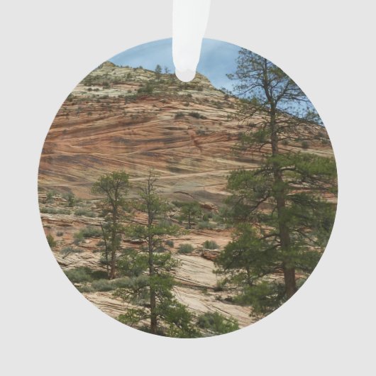 Worn Rock Walls in Zion National Park Ornament (voorkant)