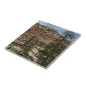 Worn Rock Walls in Zion National Park Tegeltje (Zijkant)