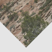 Worn Rock Walls in Zion National Park Tissuepapier (Detail)