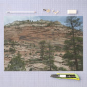 Worn Rock Walls in Zion National Park Tissuepapier (Craft)