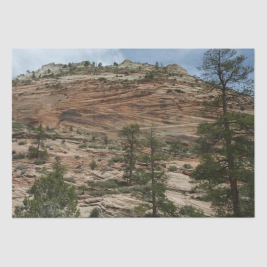 Worn Rock Walls in Zion National Park Tissuepapier (Voorkant)