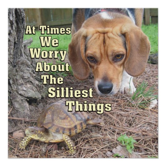 Worried Beagle Dog & Turtle Poster (Voorkant)