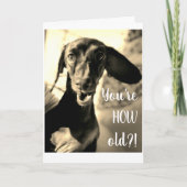 Worst Hond Verjaardag Kaart Grappig (Voorkant)