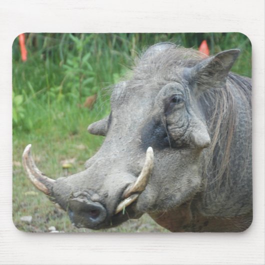 wort-hog10x10 muismat (Voorkant)