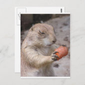 wortel briefkaart (Voorkant / Achterkant)