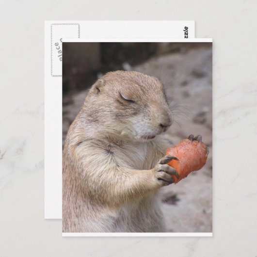 wortel briefkaart (Voorkant / Achterkant)