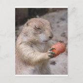 wortel briefkaart (Voorkant)