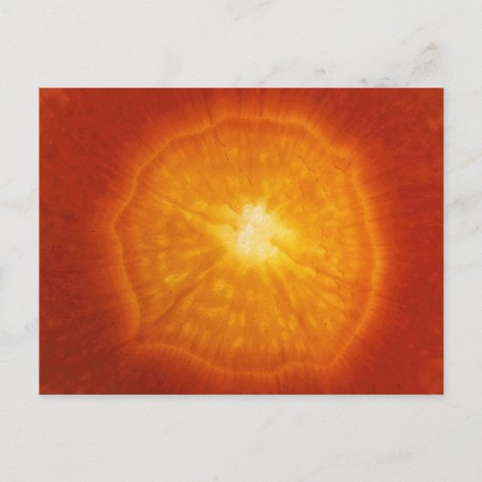 Wortel Briefkaart (Voorkant)