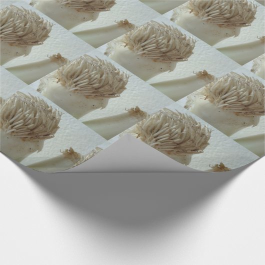 Wortel, groenten, gezond, ruw wit voedsel cadeaupapier (Hoek)