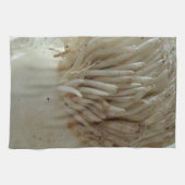 Wortel, groenten, gezond, ruw wit voedsel theedoek (Horizontaal)