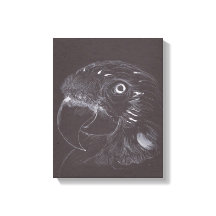 Wortel - Oorspronkelijke tekening - Canvas afdrukk