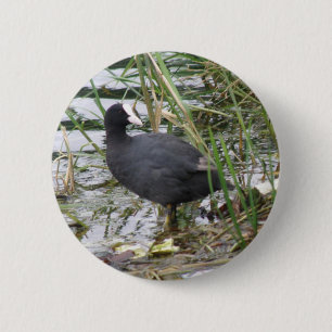 Wortel op de Button van de Riverbank