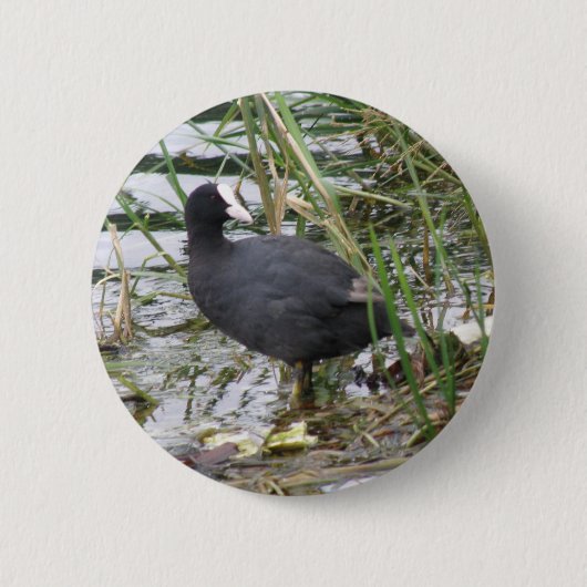 Wortel op de Button van de Riverbank (Voorkant)