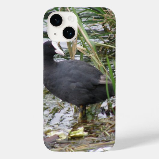 Wortel op de Riverbank Case-Mate iPhone Case (Achterkant)