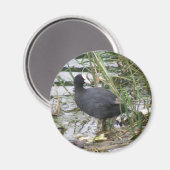 Wortel op de Riverbank Magnet (Voorkant / Achterkant)