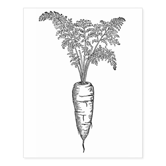  wortel rubberstempel (Afrduk)