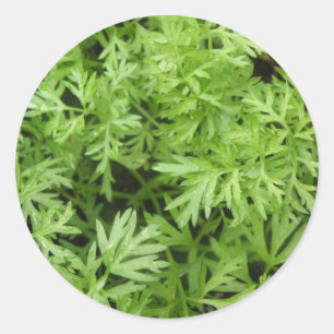 Wortel Topjes Stickers