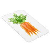 Wortelbundel Magneet (Rechterzijde)