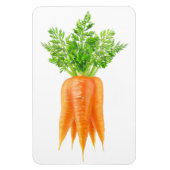 Wortelbundel Magneet (Verticaal)