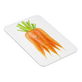 Wortelbundel Magneet (Rechterzijde)