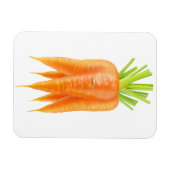 Wortelbundel Magneet (Horizontaal)