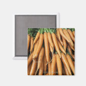 Wortelbundels, vol lijst magneet (Voorkant / Achterkant)