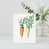  wortelen botanische afdrukken briefkaart (Staand voorkant)