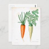  wortelen botanische afdrukken briefkaart (Voorkant / Achterkant)