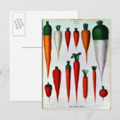 Wortelen Briefkaart (Voorkant / Achterkant)