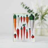 Wortelen Briefkaart (Staand voorkant)