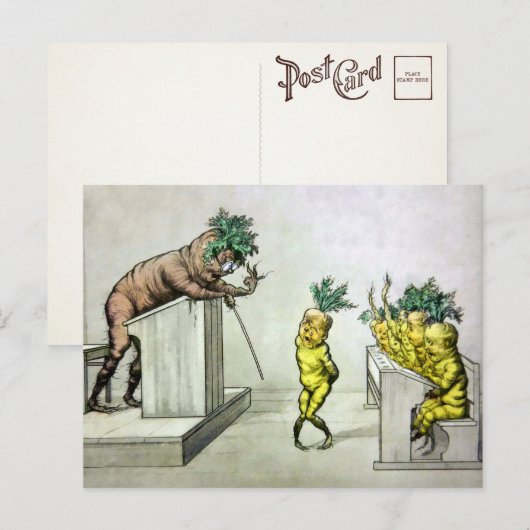  wortelen in het Briefkaart van de school (Voorkant / Achterkant)