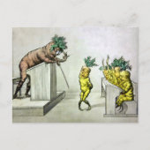  wortelen in het Briefkaart van de school (Voorkant)