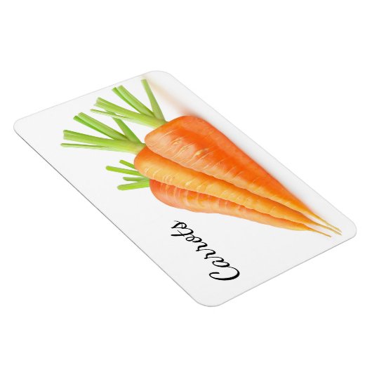 wortelen magneet (Rechterzijde)