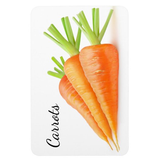 wortelen magneet (Verticaal)