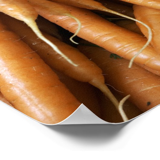 Wortelen Poster (Hoek)