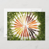 Wortelen van vele kleuren briefkaart (Voorkant / Achterkant)