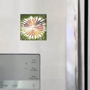 wortelgroenten kleurige regenboogpatronen magneet