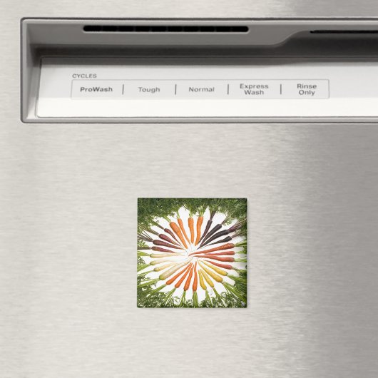 wortelgroenten kleurige regenboogpatronen magneet (Insitu (Vaatwasser))