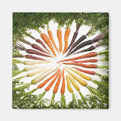 wortelgroenten kleurige regenboogpatronen magneet (Voorkant)